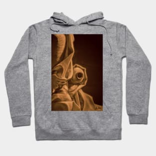 Urns still-life Hoodie